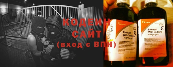 шишки Богородицк